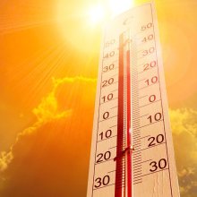 Alerta, calor! Com ens afecten l’excés de sol i les altes temperatures?