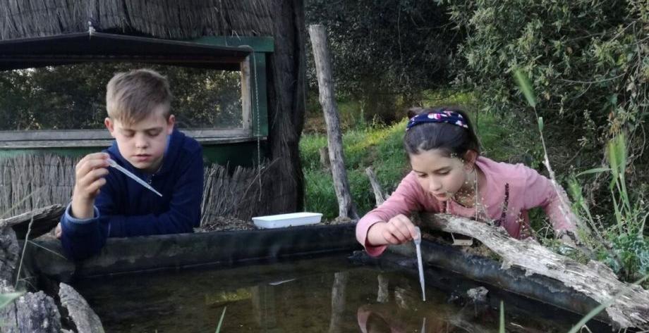 EL PROGRAMA DE SEGUIMENT I VIGILÀNCIA DEL MOSQUIT TIGRE AMPLIA EL PROJECTE EDUCATIU ALS CASALS D’ESTIU MUNICIPALS