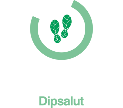 Programa d’Activitat Física