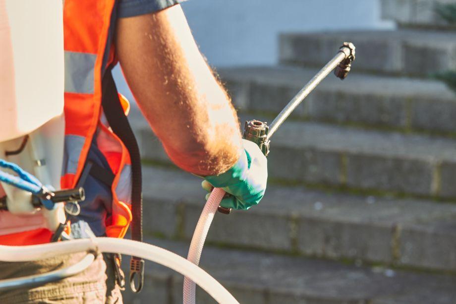 aplicació de biocida per lluitar contra el mosquit tigre