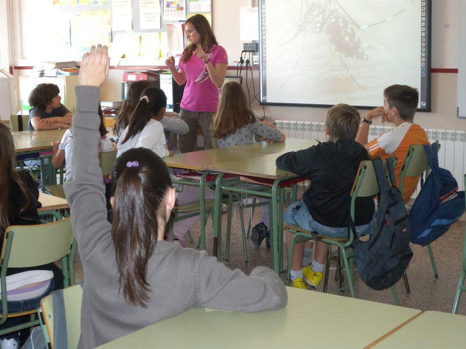 Alumnes de 5è de primària de l'Escola Montserrat de Sarrià de Ter en el marc del Projecte educatiu del mosquit tigre