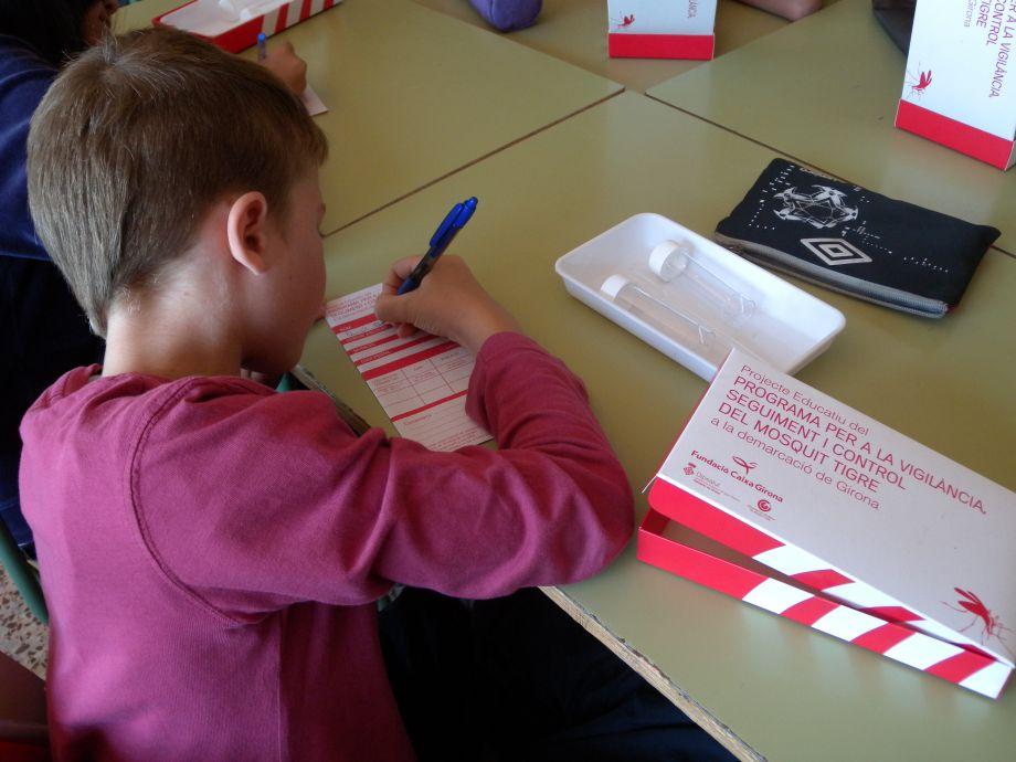 Imatge d'arxiu: alumnes de 5è de primària de l'Escola Montserrat de Sarrià de Ter en el marc del Projecte educatiu del mosquit tigre
