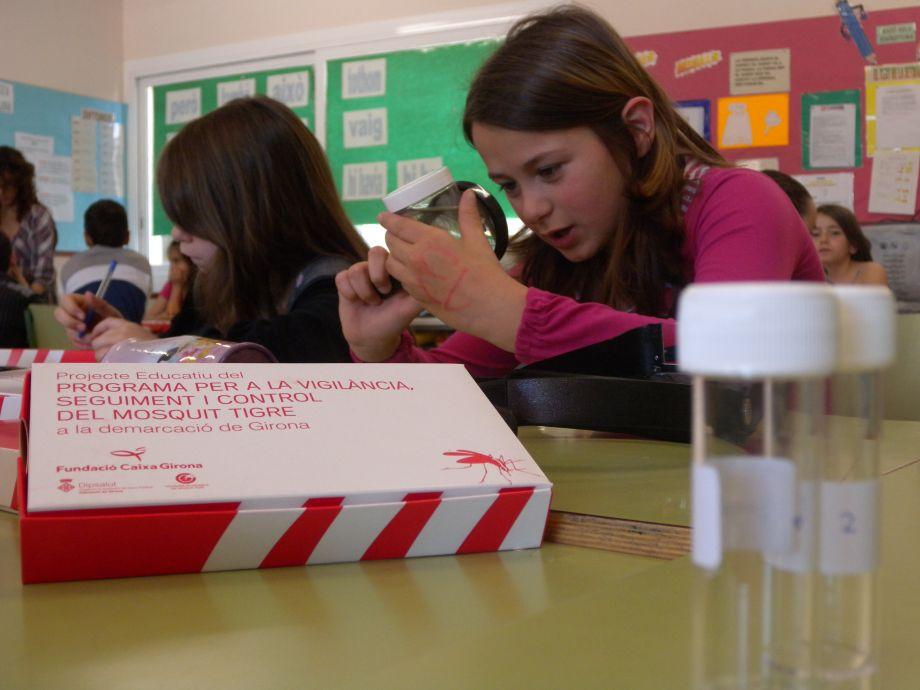 Alumnes de 5è de primària de l'Escola Montserrat de Sarrià de Ter en el marc del Projecte educatiu del mosquit tigre