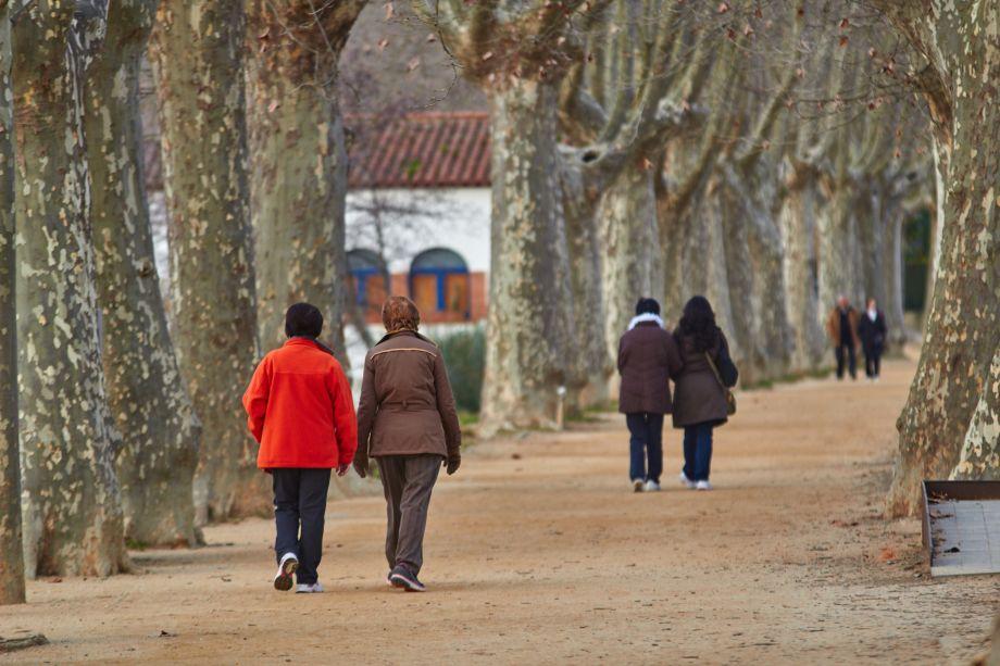 MESGI50 estudia com els estils de vida incideixen en la salut de les persones de més de 50 anys