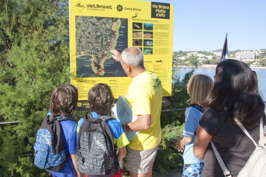 Dinamització a les Vies Braves