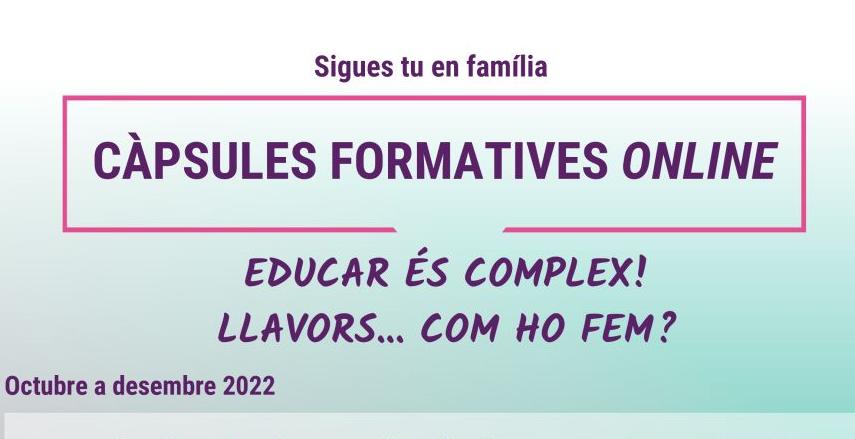 Cartell de les sessions en línia per a famílies