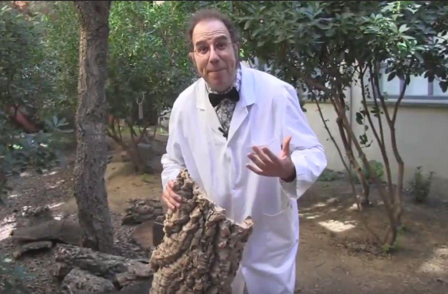 Un instant de l'audiovisual elaborat per a aquest projecte