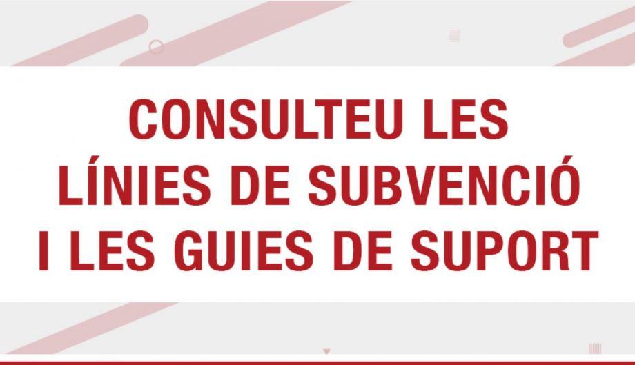 Guies de suport a la tramitació de subvencions